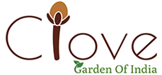 Clove Gargen of India